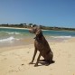 PLAYITA